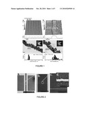 HYDROGEN GAS DETECTION USING SINGLE PALLADIUM NANOWIRES diagram and image