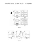 HYDROGEN GAS DETECTION USING SINGLE PALLADIUM NANOWIRES diagram and image