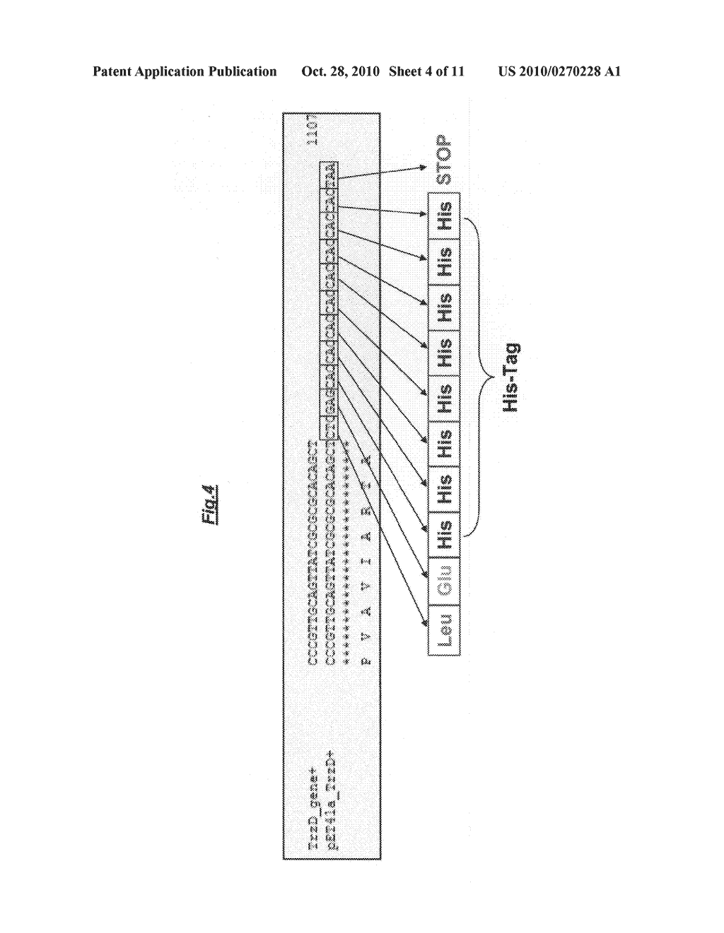 Methods, Compositions And Devices For Maintaining Chemical Balance Of Chlorinated Water - diagram, schematic, and image 05