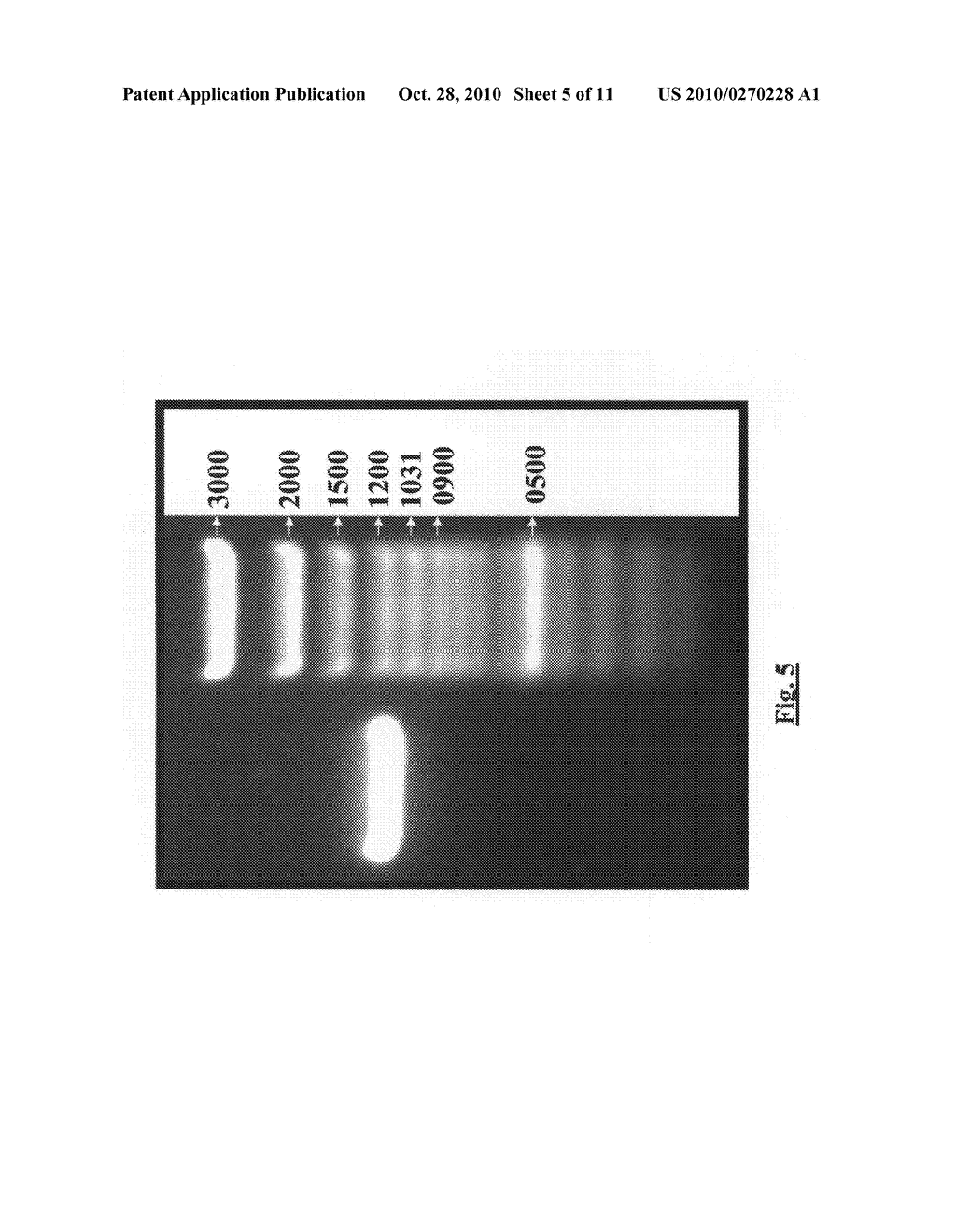 Methods, Compositions And Devices For Maintaining Chemical Balance Of Chlorinated Water - diagram, schematic, and image 06