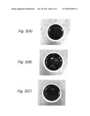 VINYLIDENE FLUORIDE BASED POLYMER POWDER AND USE THEREOF diagram and image