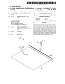 INPUT APPARATUS WITH FLEXIBLE INPUT PANEL diagram and image