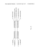 NONVOLATILE MEMORY ELEMENT, NONVOLATILE SEMICONDUCTOR MEMORY APPARATUS, AND READING METHOD AND WRITING METHOD THEREFOR diagram and image