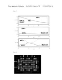 Semiconductor Memory and Program diagram and image