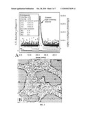 POLYSACCHARIDE NANOPARTICLES diagram and image