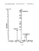 POLYSACCHARIDE NANOPARTICLES diagram and image