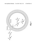 LABELED MOLECULAR IMAGING AGENTS, METHODS OF MAKING AND METHODS OF USE diagram and image