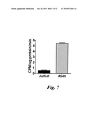 LABELED MOLECULAR IMAGING AGENTS, METHODS OF MAKING AND METHODS OF USE diagram and image