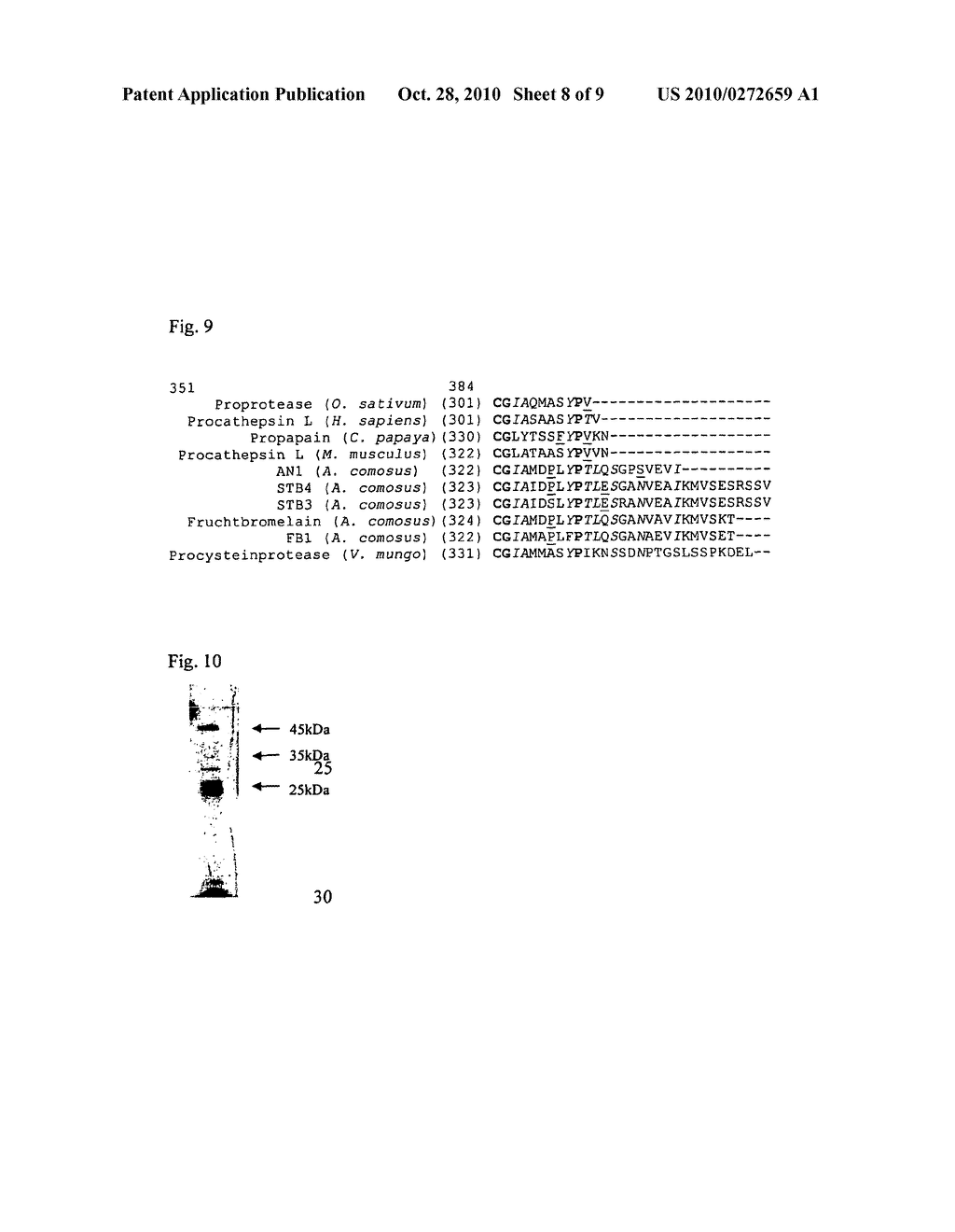 RECOMBINANT PREPARATION OF SELECTED BROMELAIN FRACTIONS - diagram, schematic, and image 09