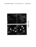 ONCOLYTIC VIRUS diagram and image