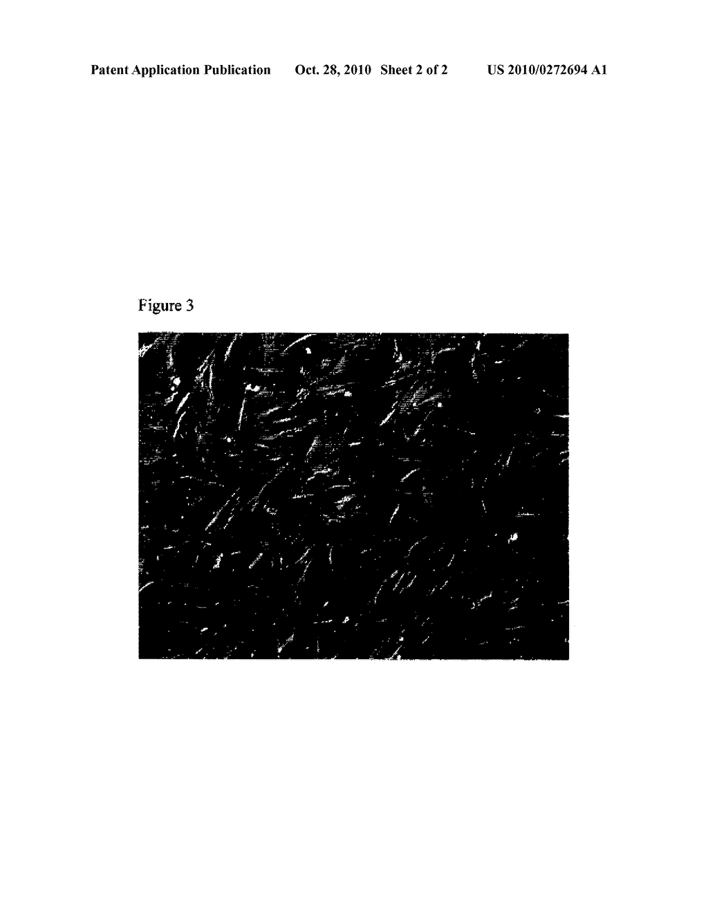 CLINIC COMPLIANT METHOD FOR BANKING HUMAN PLACENTAL MESENCHYMAL CELLS - diagram, schematic, and image 03