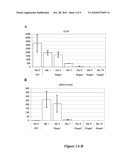 CELL COMPOSITIONS DERIVED FROM DEDIFFERENTIATED REPROGRAMMED CELLS diagram and image