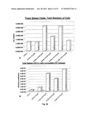 DENDRITIC CELL PRECURSORS diagram and image