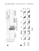 DENDRITIC CELL PRECURSORS diagram and image