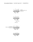 CATHEPSIN L MEDIATED DISEASES AND ASSOCIATED METHODS AND PRODUCTS diagram and image