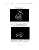 CATHEPSIN L MEDIATED DISEASES AND ASSOCIATED METHODS AND PRODUCTS diagram and image