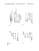 MAMMALIAN TUMOR SUSCEPTIBILITY GENE PRODUCTS AND THEIR USES diagram and image