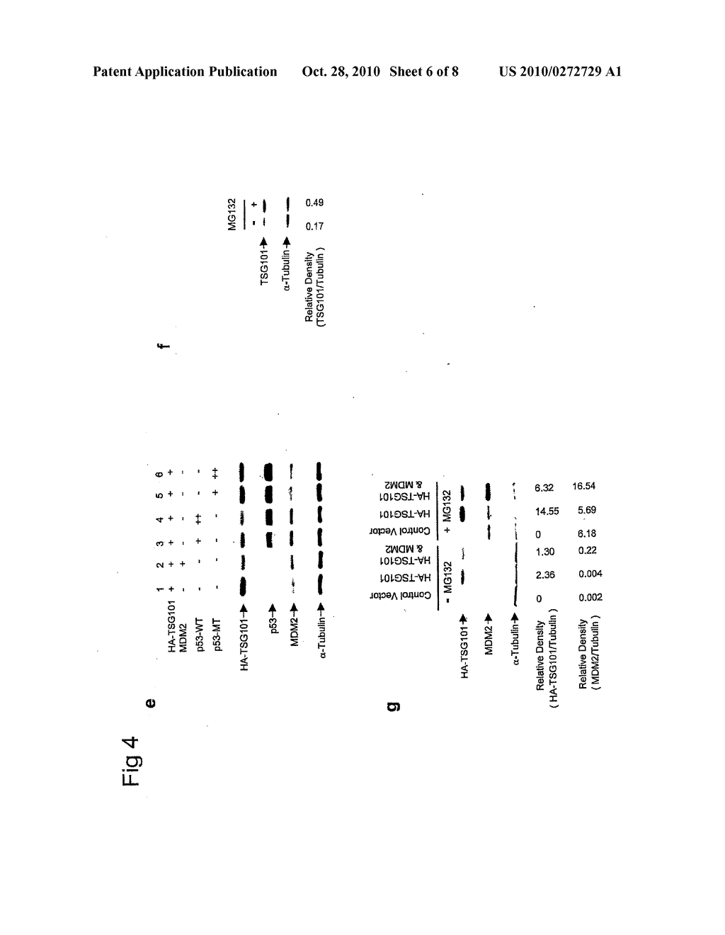 MAMMALIAN TUMOR SUSCEPTIBILITY GENE PRODUCTS AND THEIR USES - diagram, schematic, and image 07