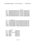 ENGINEERED ANTI-IL-23P19 ANTIBODIES diagram and image