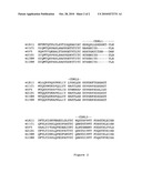 ENGINEERED ANTI-IL-23P19 ANTIBODIES diagram and image