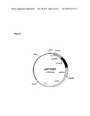 VACCINES FOR MALARIA diagram and image