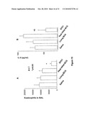 GRAM POSITIVE BACTERIA PREPARATIONS FOR THE TREATMENT OF DISEASES COMPRISING AN IMMUNE DYSREGULATION diagram and image