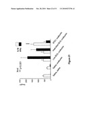 GRAM POSITIVE BACTERIA PREPARATIONS FOR THE TREATMENT OF DISEASES COMPRISING AN IMMUNE DYSREGULATION diagram and image