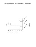 GRAM POSITIVE BACTERIA PREPARATIONS FOR THE TREATMENT OF DISEASES COMPRISING AN IMMUNE DYSREGULATION diagram and image