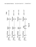 GRAM POSITIVE BACTERIA PREPARATIONS FOR THE TREATMENT OF DISEASES COMPRISING AN IMMUNE DYSREGULATION diagram and image