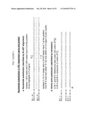 MODIFIED LIVE VACCINE OF MYCOPLASMA BOVIS, METHODS OF PRODUCING MODIFIED LIVE MYCOPLASMA BOVIS VACCINES, COMBINATION VACCINES AND METHODS OF TREATMENT diagram and image