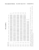 MODIFIED LIVE VACCINE OF MYCOPLASMA BOVIS, METHODS OF PRODUCING MODIFIED LIVE MYCOPLASMA BOVIS VACCINES, COMBINATION VACCINES AND METHODS OF TREATMENT diagram and image