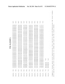 MODIFIED LIVE VACCINE OF MYCOPLASMA BOVIS, METHODS OF PRODUCING MODIFIED LIVE MYCOPLASMA BOVIS VACCINES, COMBINATION VACCINES AND METHODS OF TREATMENT diagram and image