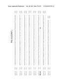 MODIFIED LIVE VACCINE OF MYCOPLASMA BOVIS, METHODS OF PRODUCING MODIFIED LIVE MYCOPLASMA BOVIS VACCINES, COMBINATION VACCINES AND METHODS OF TREATMENT diagram and image