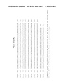 MODIFIED LIVE VACCINE OF MYCOPLASMA BOVIS, METHODS OF PRODUCING MODIFIED LIVE MYCOPLASMA BOVIS VACCINES, COMBINATION VACCINES AND METHODS OF TREATMENT diagram and image