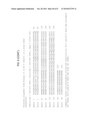 MODIFIED LIVE VACCINE OF MYCOPLASMA BOVIS, METHODS OF PRODUCING MODIFIED LIVE MYCOPLASMA BOVIS VACCINES, COMBINATION VACCINES AND METHODS OF TREATMENT diagram and image