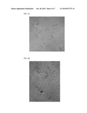 PROGESTERONE-CONTAINING COMPOSITIONS AND DEVICES diagram and image