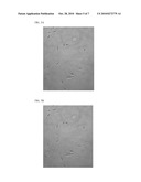 PROGESTERONE-CONTAINING COMPOSITIONS AND DEVICES diagram and image