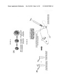 HYDROGELS FOR COMBINATORIAL DELIVERY OF IMMUNE-MODULATING BIOMOLECULES diagram and image