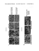 HYDROGELS FOR COMBINATORIAL DELIVERY OF IMMUNE-MODULATING BIOMOLECULES diagram and image