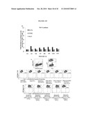 HYDROGELS FOR COMBINATORIAL DELIVERY OF IMMUNE-MODULATING BIOMOLECULES diagram and image