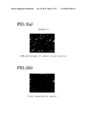 ELASTOMER POROUS MATERIAL AND METHOD OF PRODUCING THE SAME diagram and image