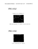 ELASTOMER POROUS MATERIAL AND METHOD OF PRODUCING THE SAME diagram and image