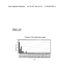 ELASTOMER POROUS MATERIAL AND METHOD OF PRODUCING THE SAME diagram and image