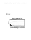 ELASTOMER POROUS MATERIAL AND METHOD OF PRODUCING THE SAME diagram and image