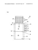 METHOD AND DEVICE FOR PREPARING BIOLOGICAL SAMPLES FOR ANALYSIS diagram and image