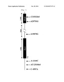 METHOD OF JUDGING RISK FOR ONSET OF DRUG-INDUCED GRANULOCYTOPENIA diagram and image