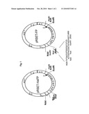 DIAGNOSTIC ASSAY FOR ANTI-VON WILLEBRAND FACTOR CLEAVING PROTEASE (ADAMTS13) ANTIBODIES diagram and image