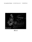 SPLIT MUTANT HYDROLASE FUSION REPORTER AND USES THEREOF diagram and image