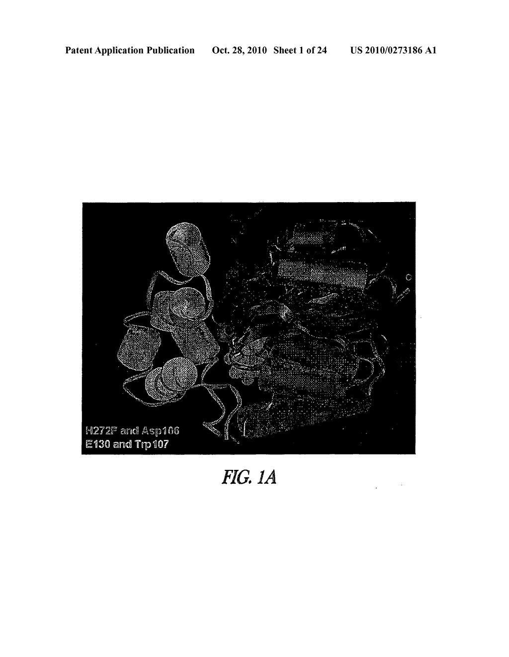 SPLIT MUTANT HYDROLASE FUSION REPORTER AND USES THEREOF - diagram, schematic, and image 02