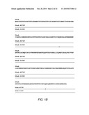 SPLIT MUTANT HYDROLASE FUSION REPORTER AND USES THEREOF diagram and image